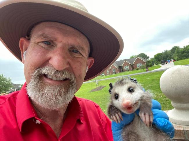 Owner of Alvin Pest Control holding a young opossum after a removal 
